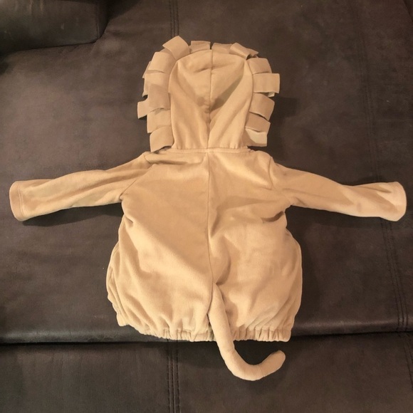 Baby Lion Halloween Costume - Picture 3 of 5